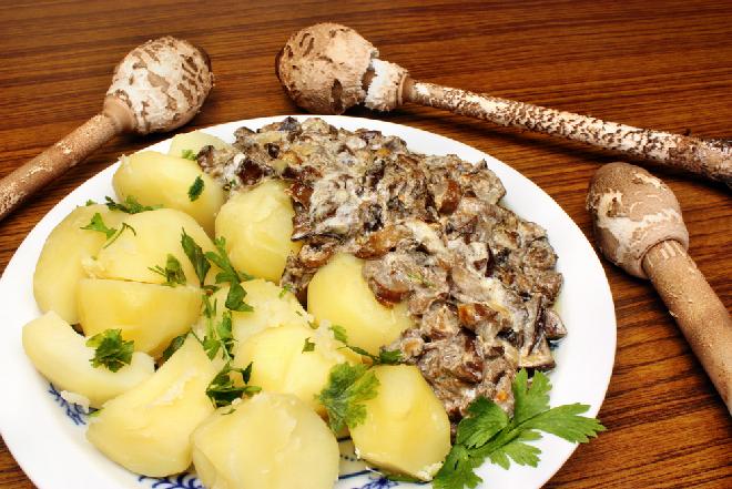 Młode kanie duszone z jajkiem: pyszny sos do ziemniaków